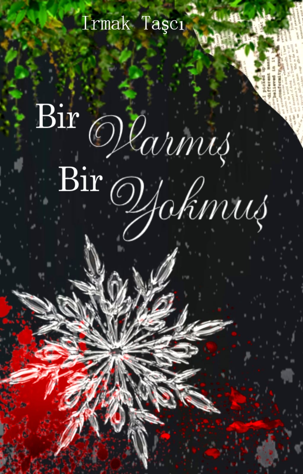 Gönderi görseli